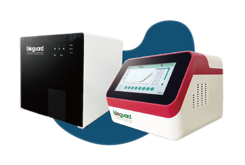 RT PCR