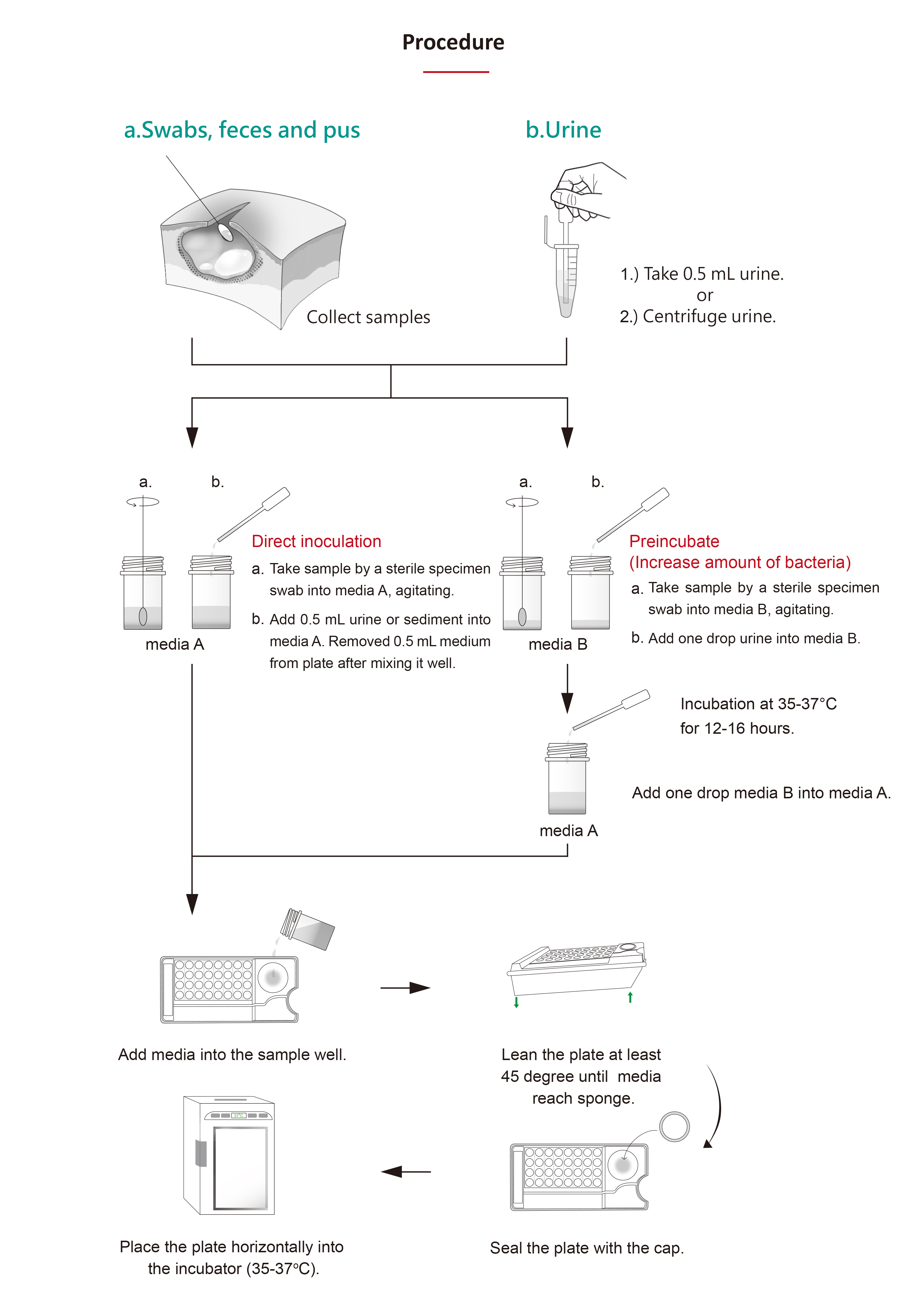 procedure antibiotic susceptibility en 2
