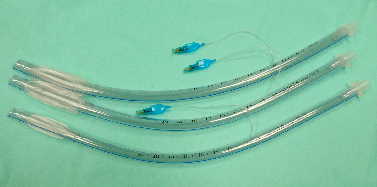 tracheal 02 mid