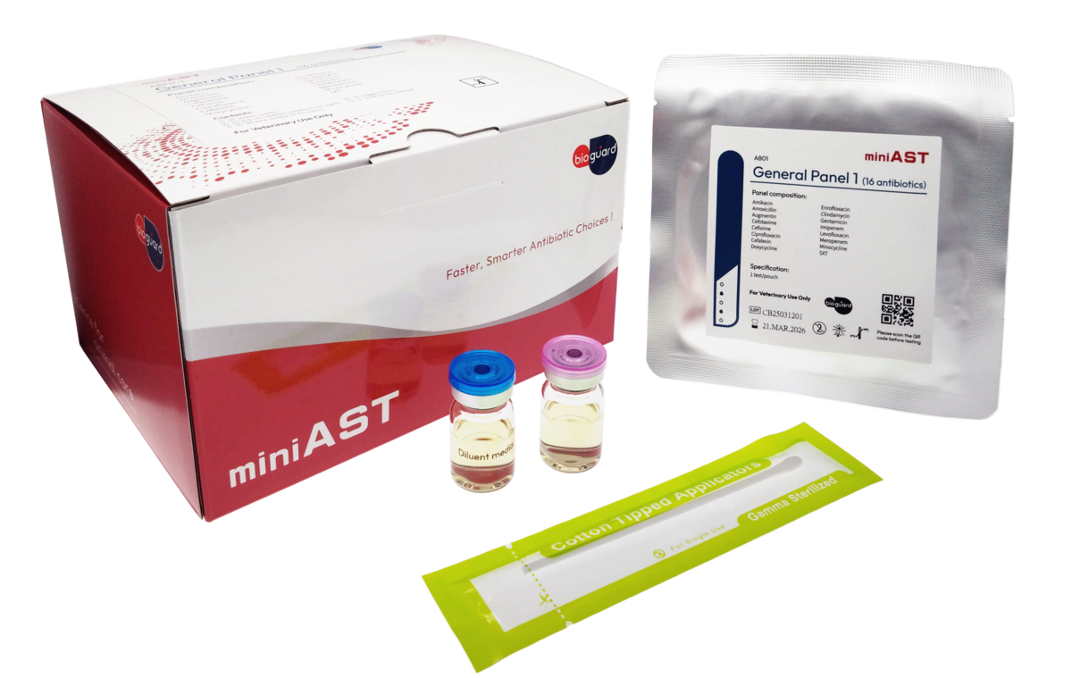miniAST boxw